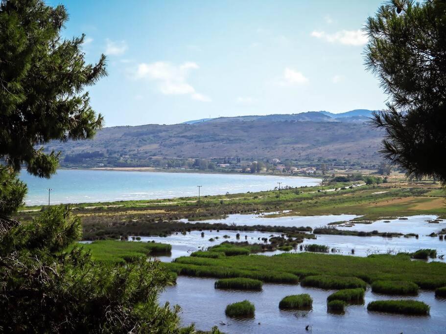 Villa Rania: Ευάερη Βίλα Με Θέα Τη Θάλασσα Lixouri Extérieur photo