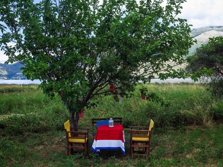 Villa Rania: Ευάερη Βίλα Με Θέα Τη Θάλασσα Lixouri Extérieur photo