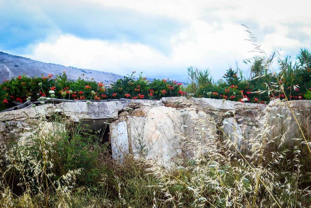 Villa Rania: Ευάερη Βίλα Με Θέα Τη Θάλασσα Lixouri Extérieur photo
