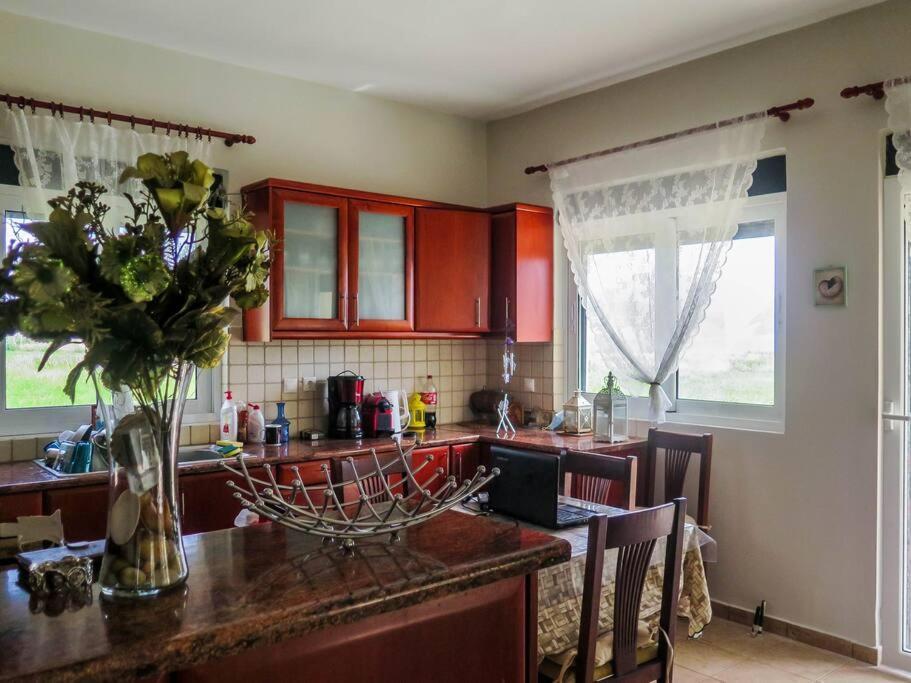 Villa Rania: Ευάερη Βίλα Με Θέα Τη Θάλασσα Lixouri Extérieur photo