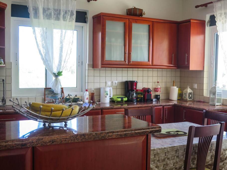 Villa Rania: Ευάερη Βίλα Με Θέα Τη Θάλασσα Lixouri Extérieur photo